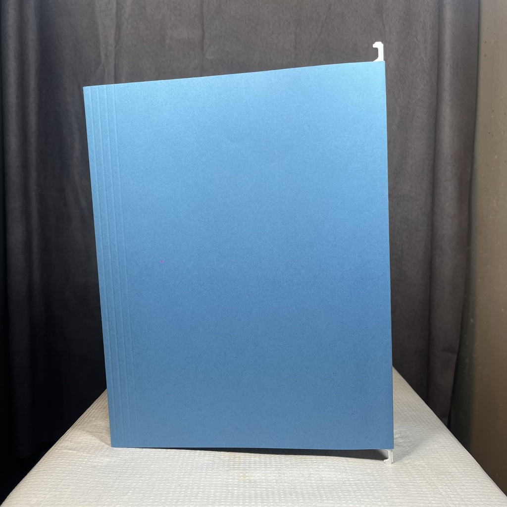 FOLDER, HANGING FILE BLUE