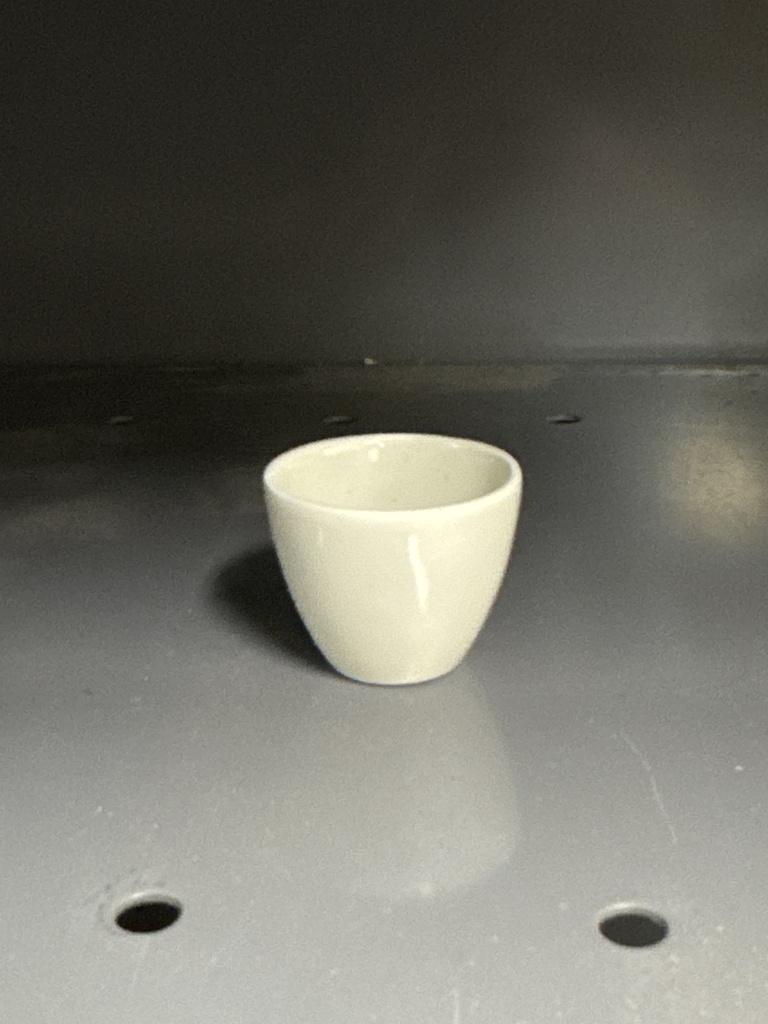CRUCIBLE, PORCELAIN 15 ML 6010